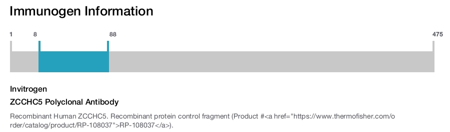 ZCCHC5 Polyclonal Antibody