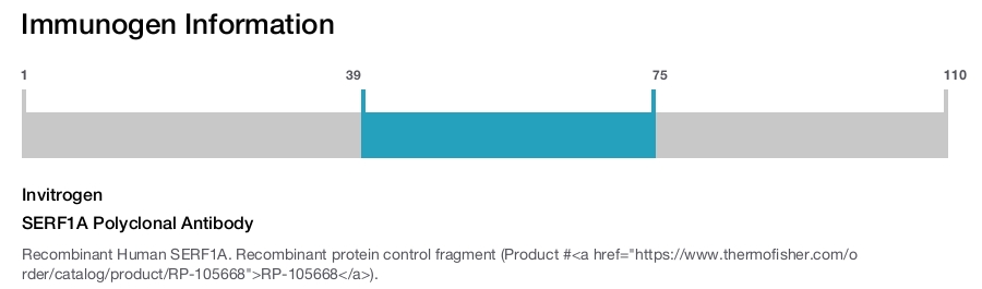 SERF1A Polyclonal Antibody