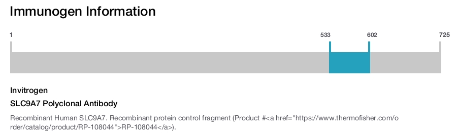 SLC9A7 Polyclonal Antibody