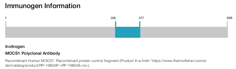 MOCS1 Polyclonal Antibody