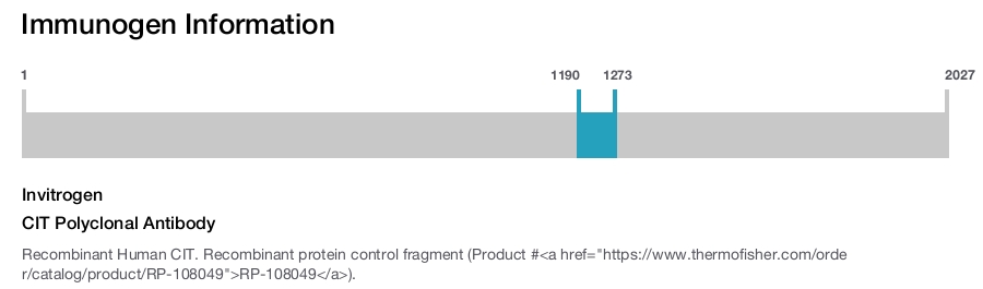 CIT Polyclonal Antibody
