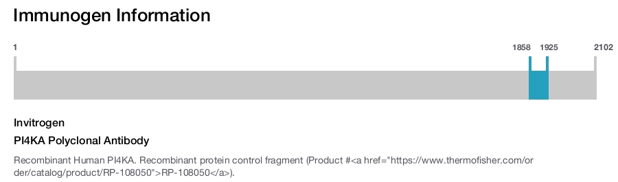 PI4KA Polyclonal Antibody