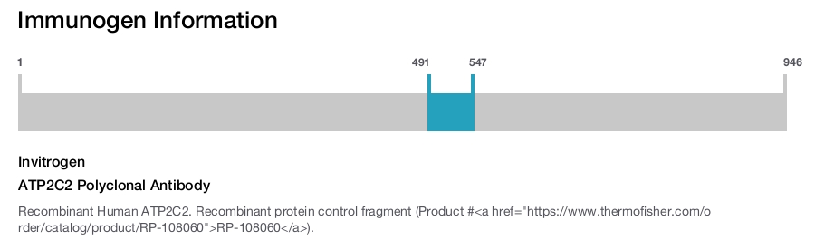 ATP2C2 Polyclonal Antibody