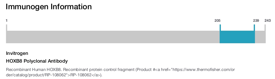 HOXB8 Polyclonal Antibody
