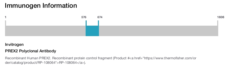 PREX2 Polyclonal Antibody