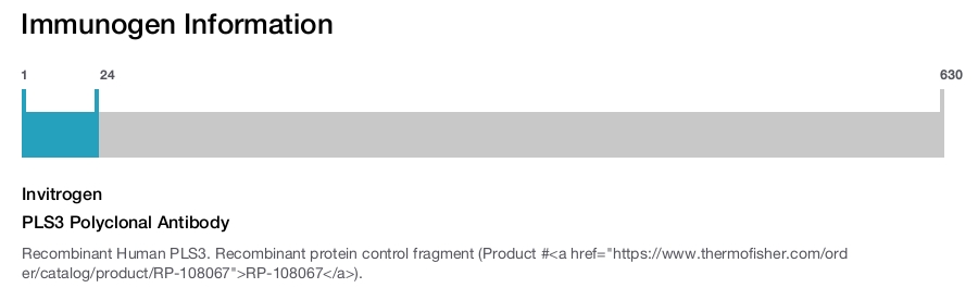 PLS3 Polyclonal Antibody