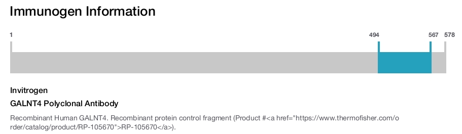 GALNT4 Polyclonal Antibody