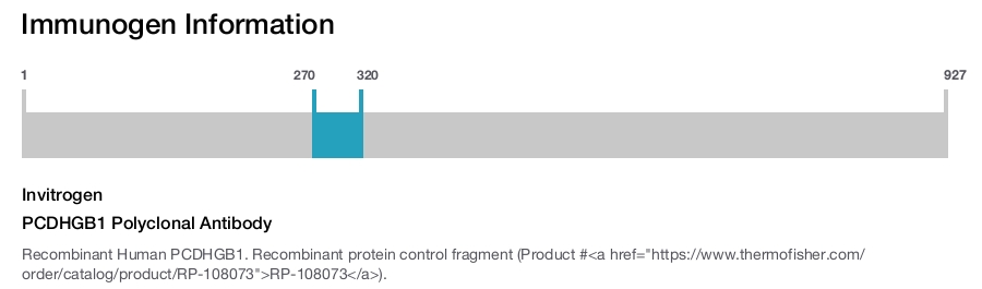 PCDHGB1 Polyclonal Antibody