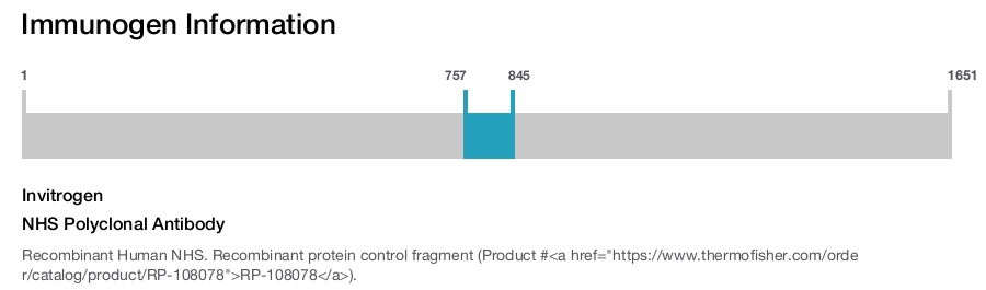 NHS Polyclonal Antibody