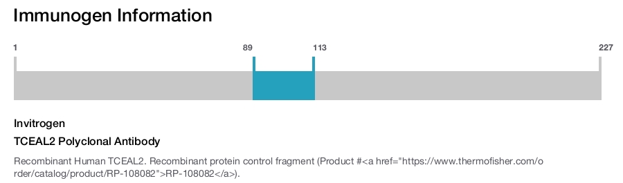 TCEAL2 Polyclonal Antibody
