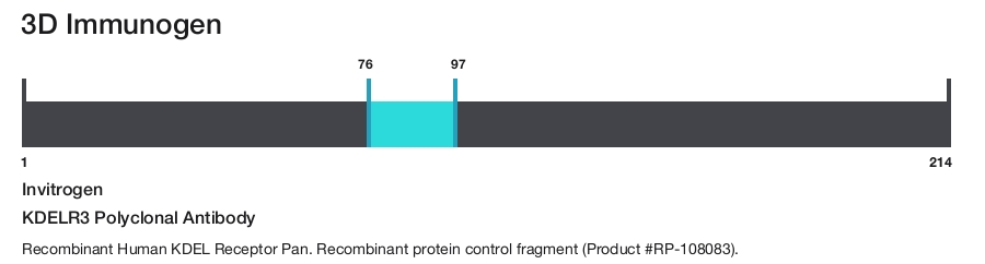 KDELR3 Polyclonal Antibody