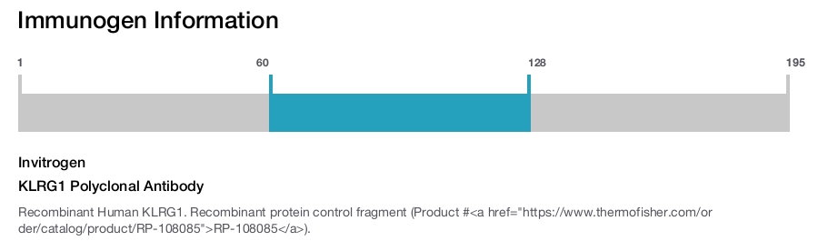 KLRG1 Polyclonal Antibody