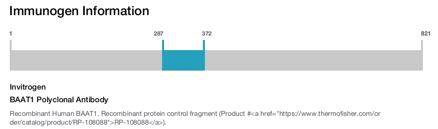 BAAT1 Polyclonal Antibody