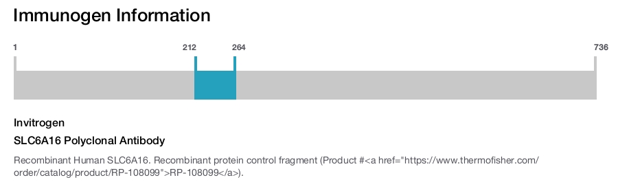 SLC6A16 Polyclonal Antibody