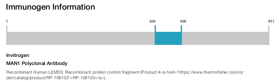 MAN1 Polyclonal Antibody