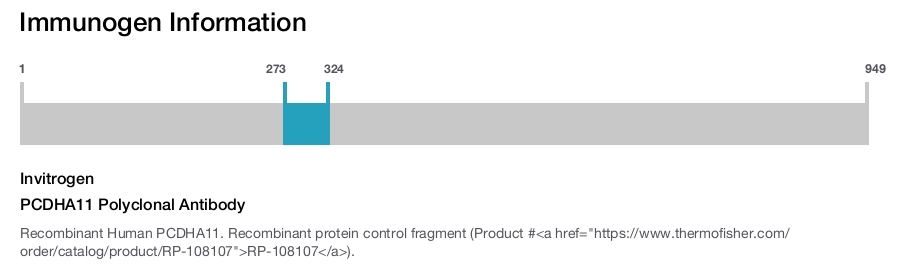 PCDHA11 Polyclonal Antibody
