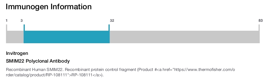 SMIM22 Polyclonal Antibody