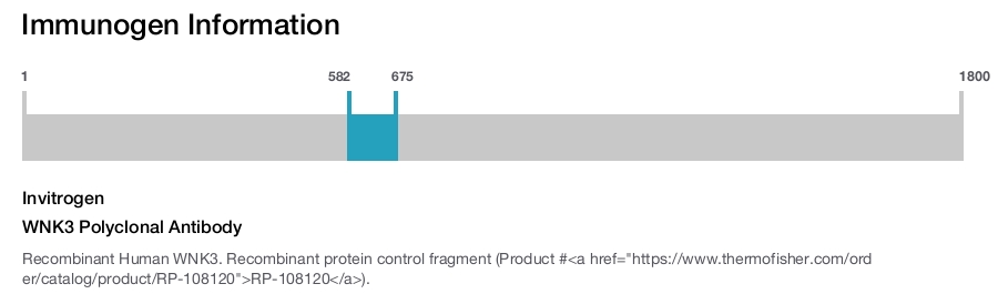 WNK3 Polyclonal Antibody
