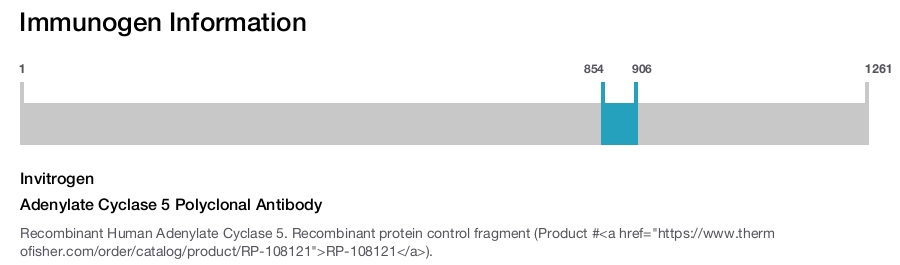 Adenylate Cyclase 5 Polyclonal Antibody