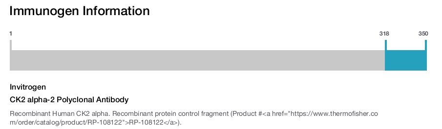 CK2 alpha-2 Polyclonal Antibody