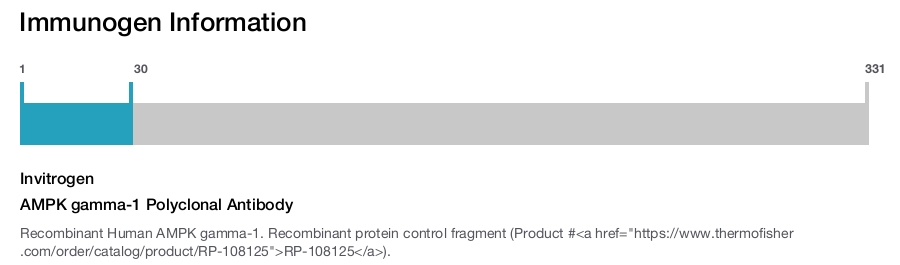 AMPK gamma-1 Polyclonal Antibody