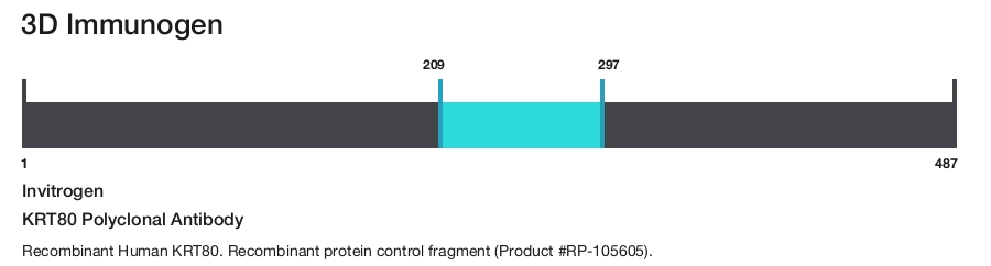 KRT80 Polyclonal Antibody