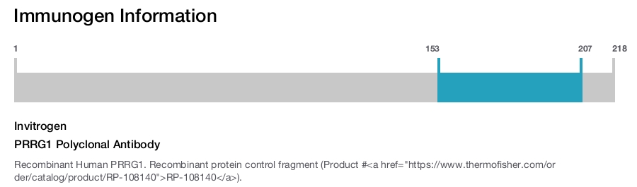 PRRG1 Polyclonal Antibody