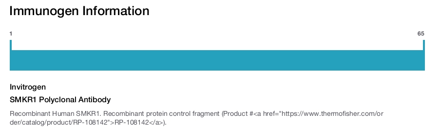 SMKR1 Polyclonal Antibody