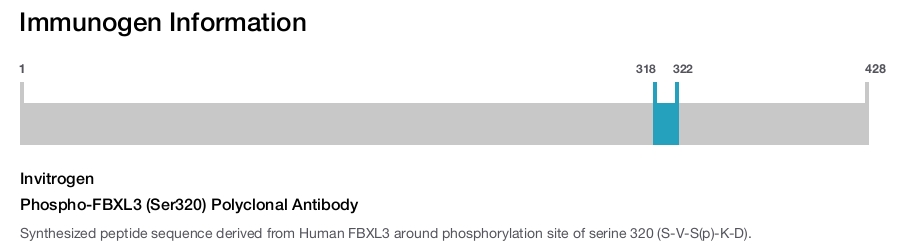 Phospho-FBXL3 (Ser320) Polyclonal Antibody