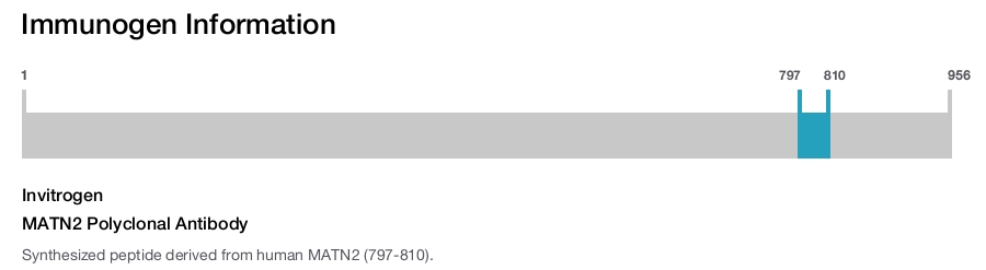 MATN2 Polyclonal Antibody