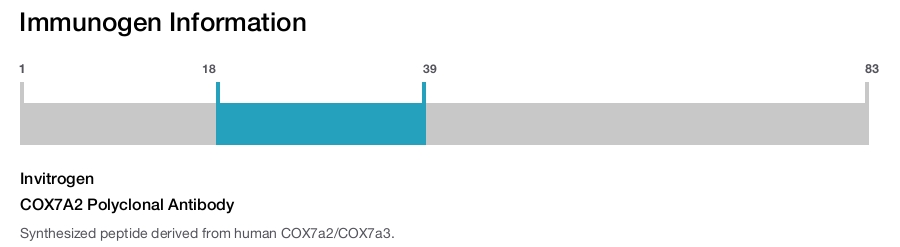 COX7A2 Polyclonal Antibody