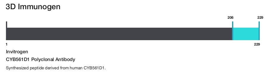 CYB561D1 Polyclonal Antibody