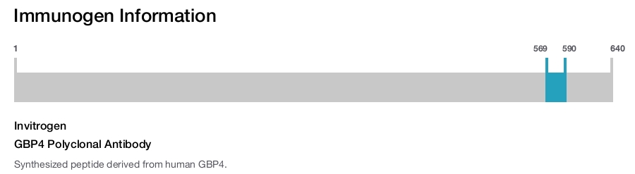 GBP4 Polyclonal Antibody