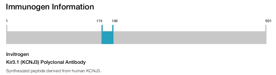 Kir3.1 (KCNJ3) Polyclonal Antibody