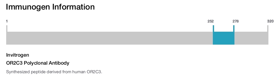 OR2C3 Polyclonal Antibody