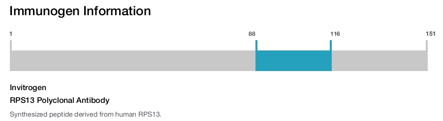 RPS13 Polyclonal Antibody