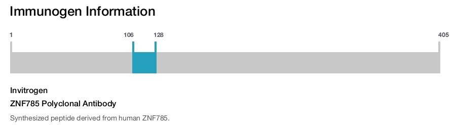 ZNF785 Polyclonal Antibody