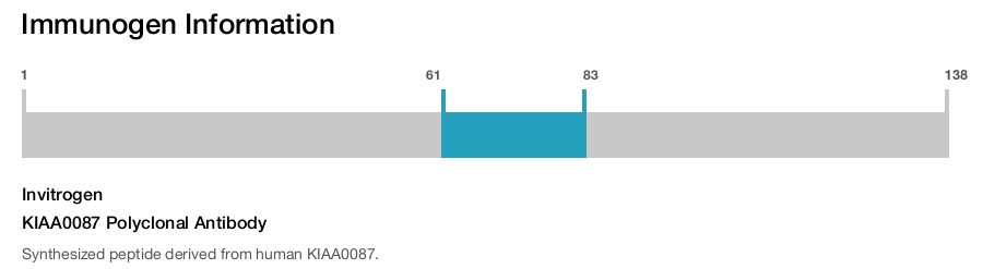 KIAA0087 Polyclonal Antibody