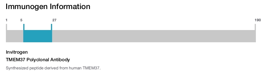 TMEM37 Polyclonal Antibody