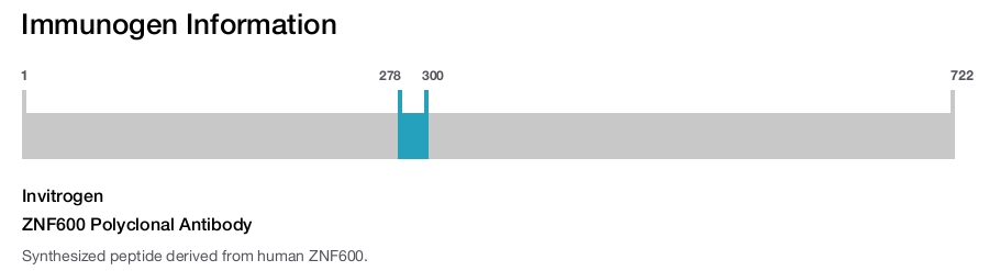 ZNF600 Polyclonal Antibody