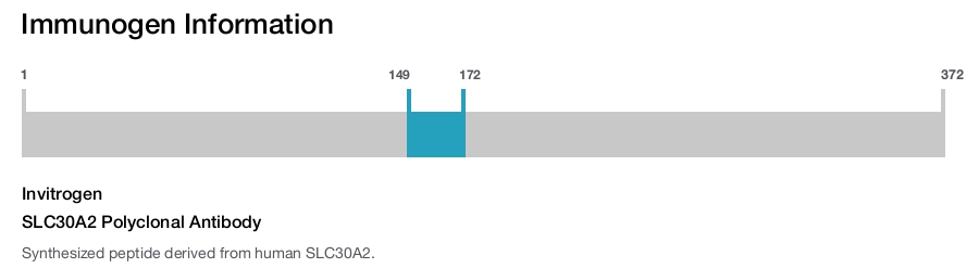 SLC30A2 Polyclonal Antibody