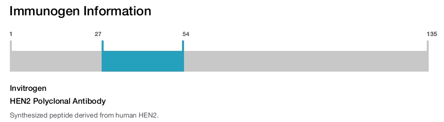 HEN2 Polyclonal Antibody