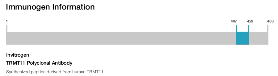 TRMT11 Polyclonal Antibody