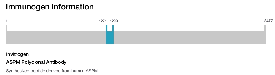 ASPM Polyclonal Antibody