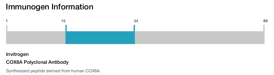 COX8A Polyclonal Antibody