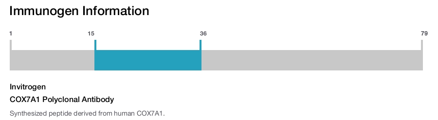 COX7A1 Polyclonal Antibody