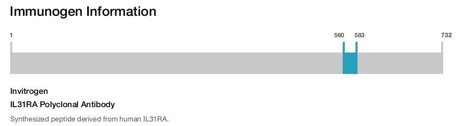 IL31RA Polyclonal Antibody