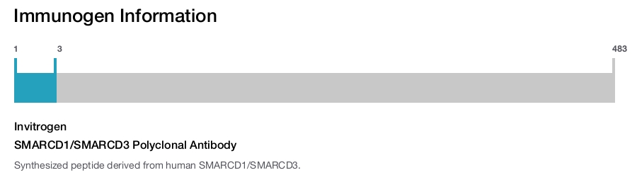 SMARCD1/SMARCD3 Polyclonal Antibody