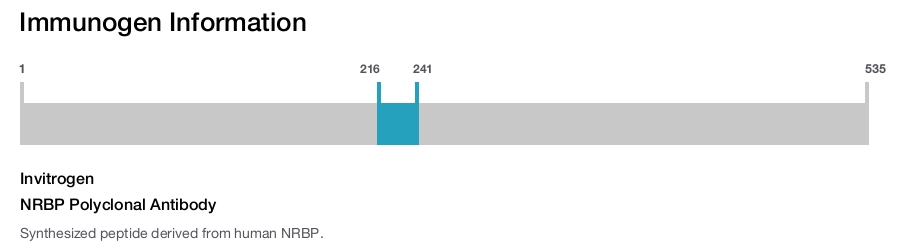 NRBP Polyclonal Antibody