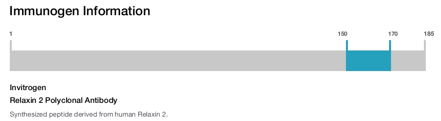Relaxin 2 Polyclonal Antibody